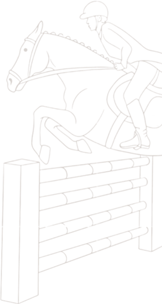 bg_horse